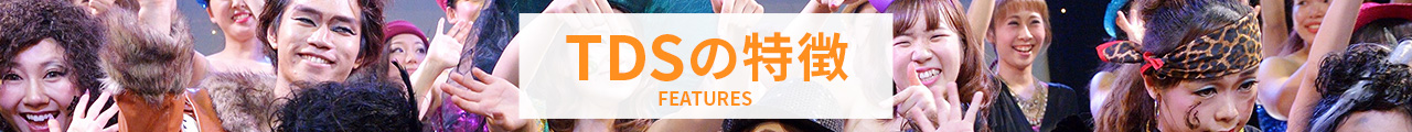 TDSの特徴